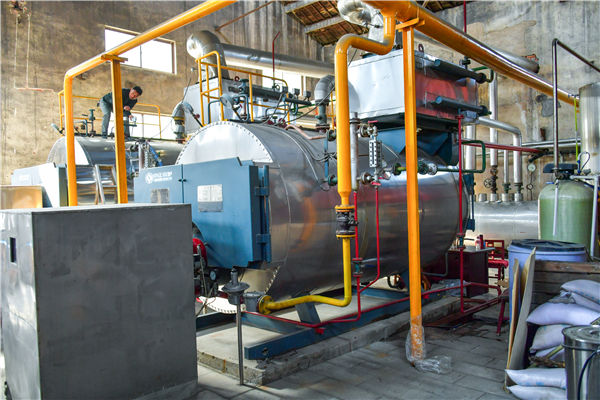 天然气锅炉一蒸吨