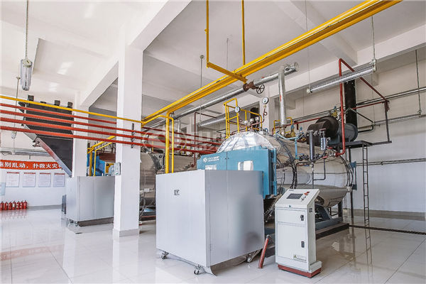 广东91香蕉视频下载地址