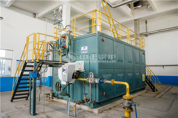 生物能取暖锅炉